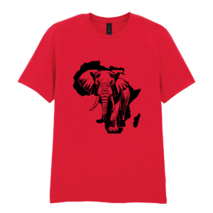 Alternative view of Skull